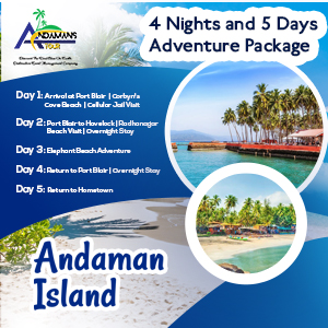 Web banner2