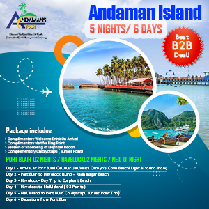 Web banner3